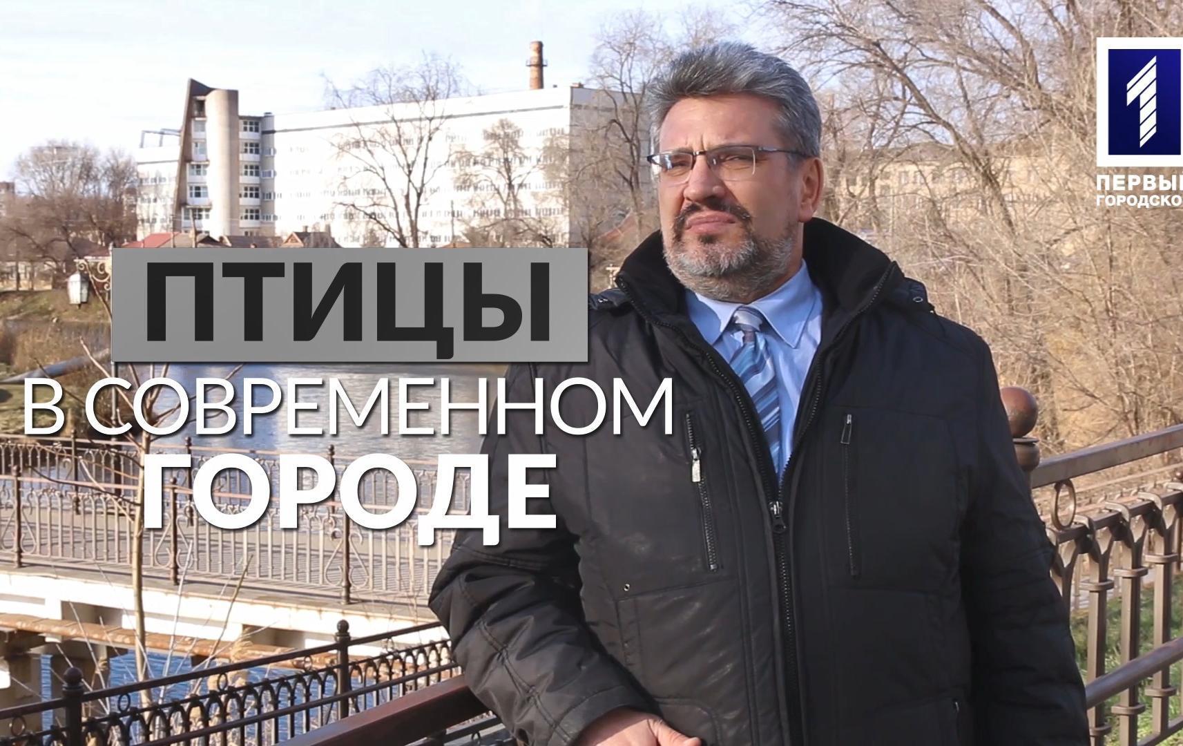 Зелёная стратегия: птицы в современном городе