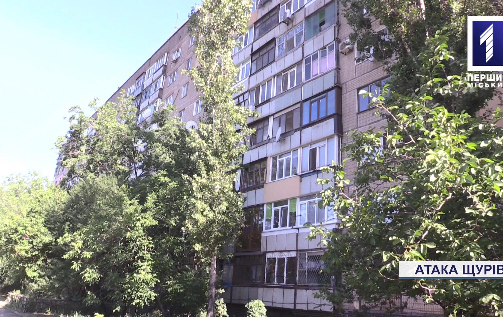 Щури тримають у страху жителів дев’ятиповерхівки в Кривому Розі