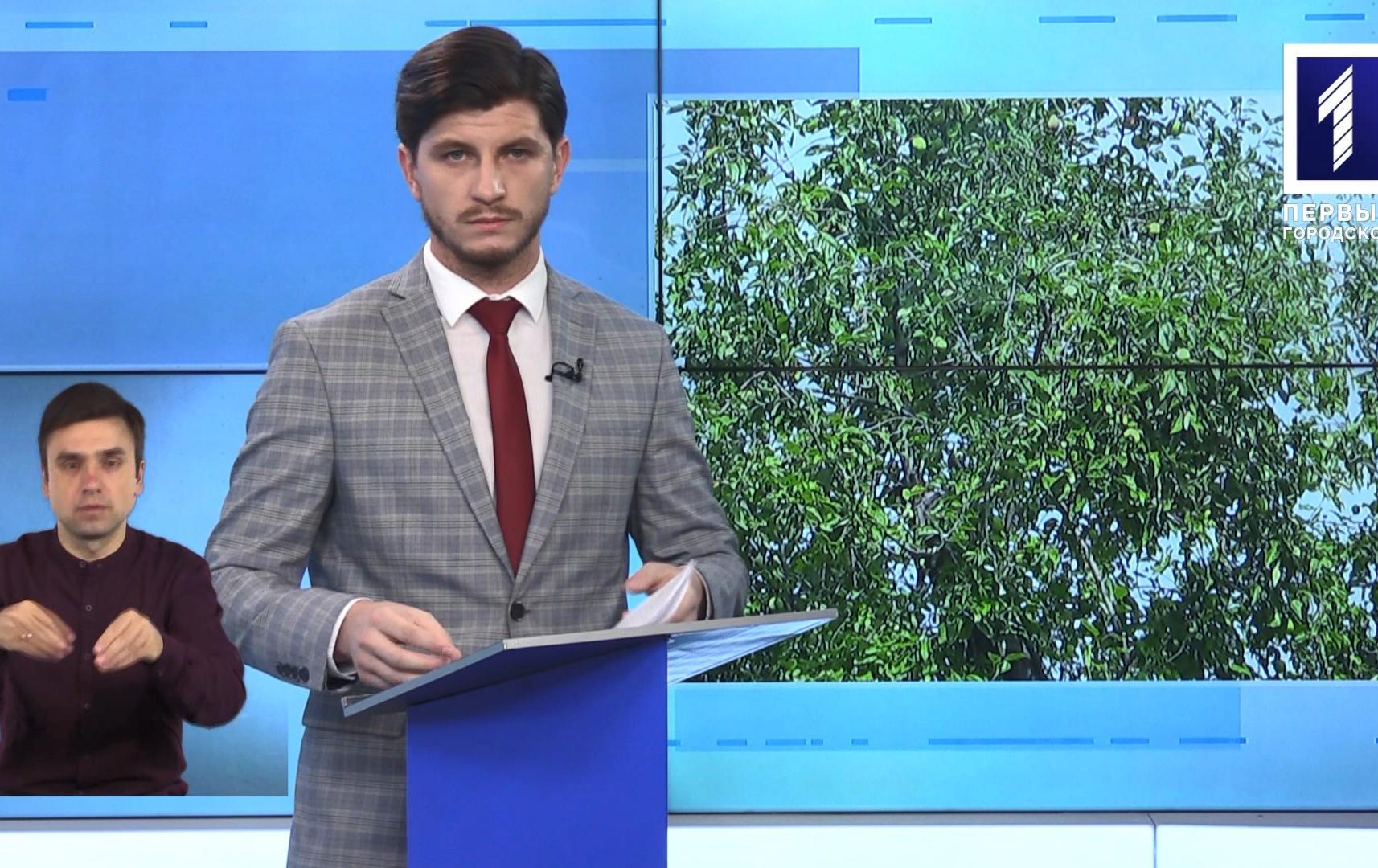 Новини Кривбасу 10 липня 2020 (сурдопереклад): врізався до водопостачання, новий керівник швидкісного