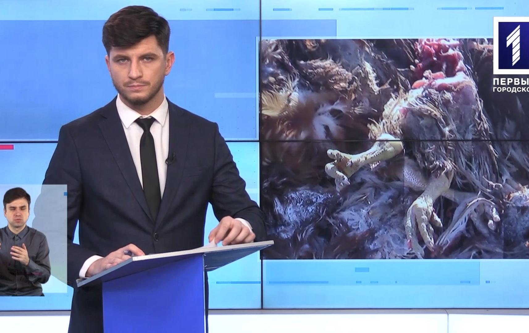 Новини Кривбасу 07 січня 2020 (сурдопереклад): курячі трупи, транспорт без музики, номер спецслужб