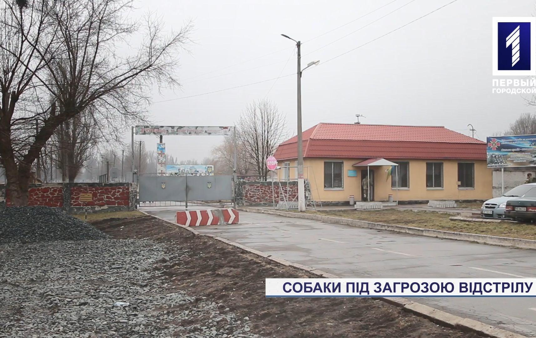 Чи відстрілюють собак у військовій частині Кривого Рогу