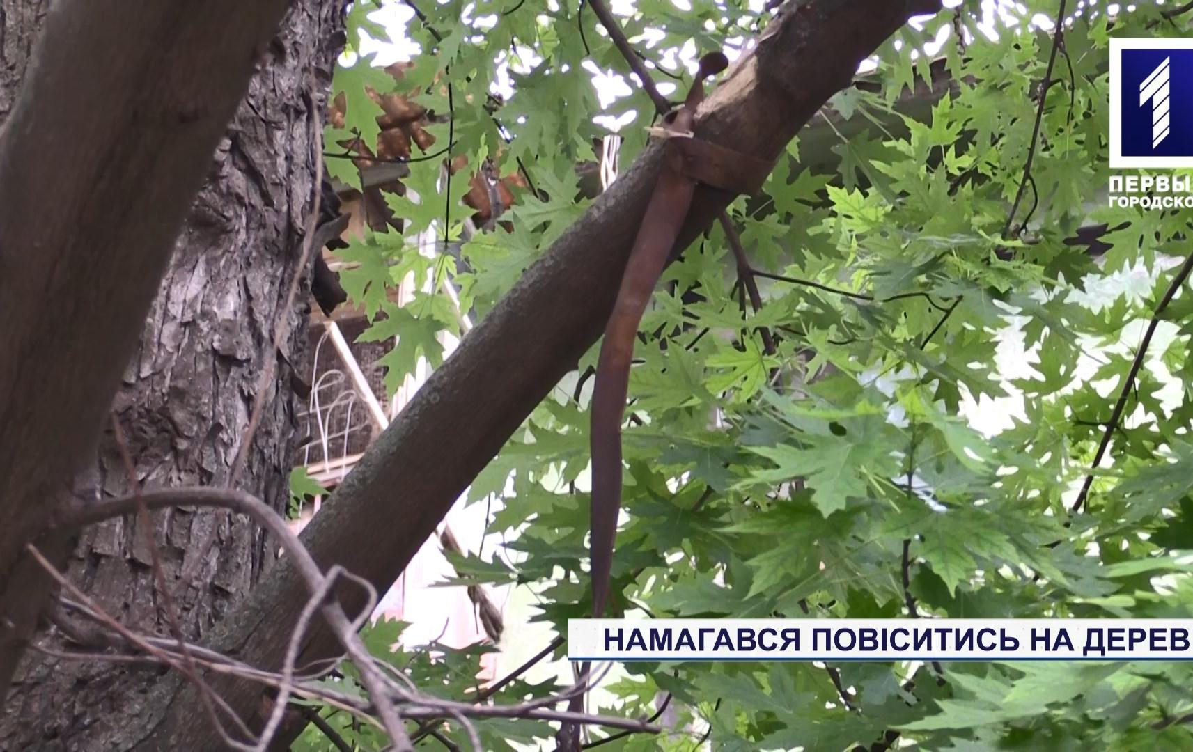 Новини Кривого Рогу: спробував повіситися на дереві