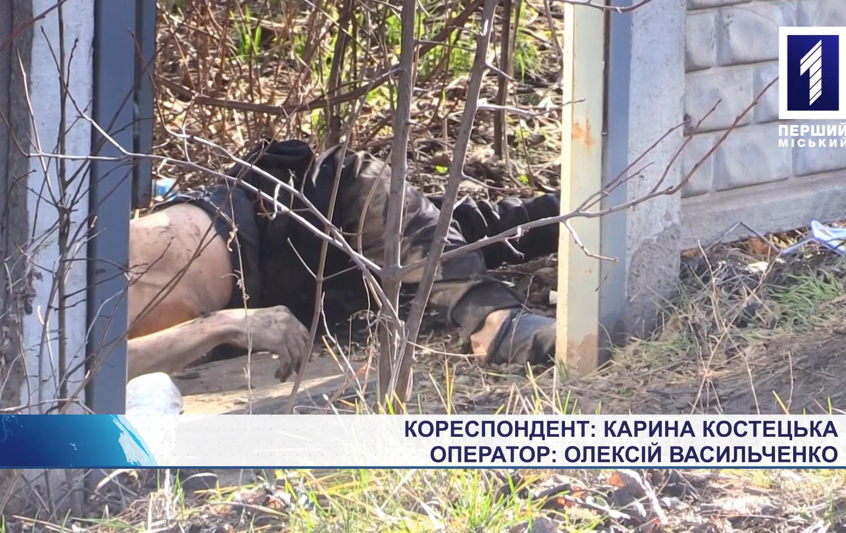 Вбивство через ревнощі у Кривому Розі