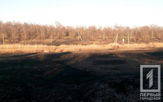 В Кривом Роге пострадал дачник из-за подожжённого сухостоя