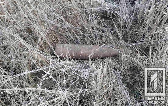 В поле недалеко от Кривого Рога мужчина нашёл артиллерийский снаряд