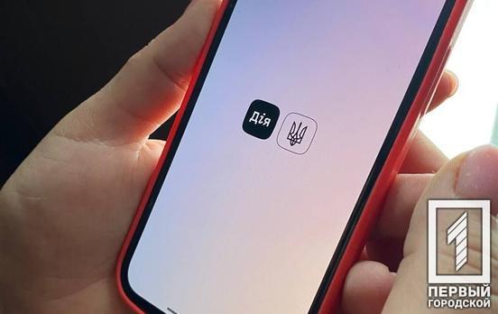 В «Дії» тепер можна отримати статус внутрішньо переміщеної особи та оформити заявку на щомісячну грошову допомогу, - Мінцифри