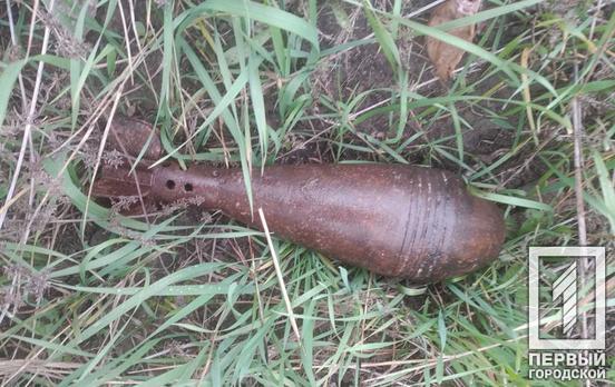 В районе Кривого Рога обезвредили два устаревших боеприпаса