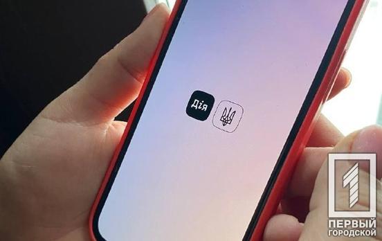 На порталі «Дія» знову запрацювала послуга єМалятко