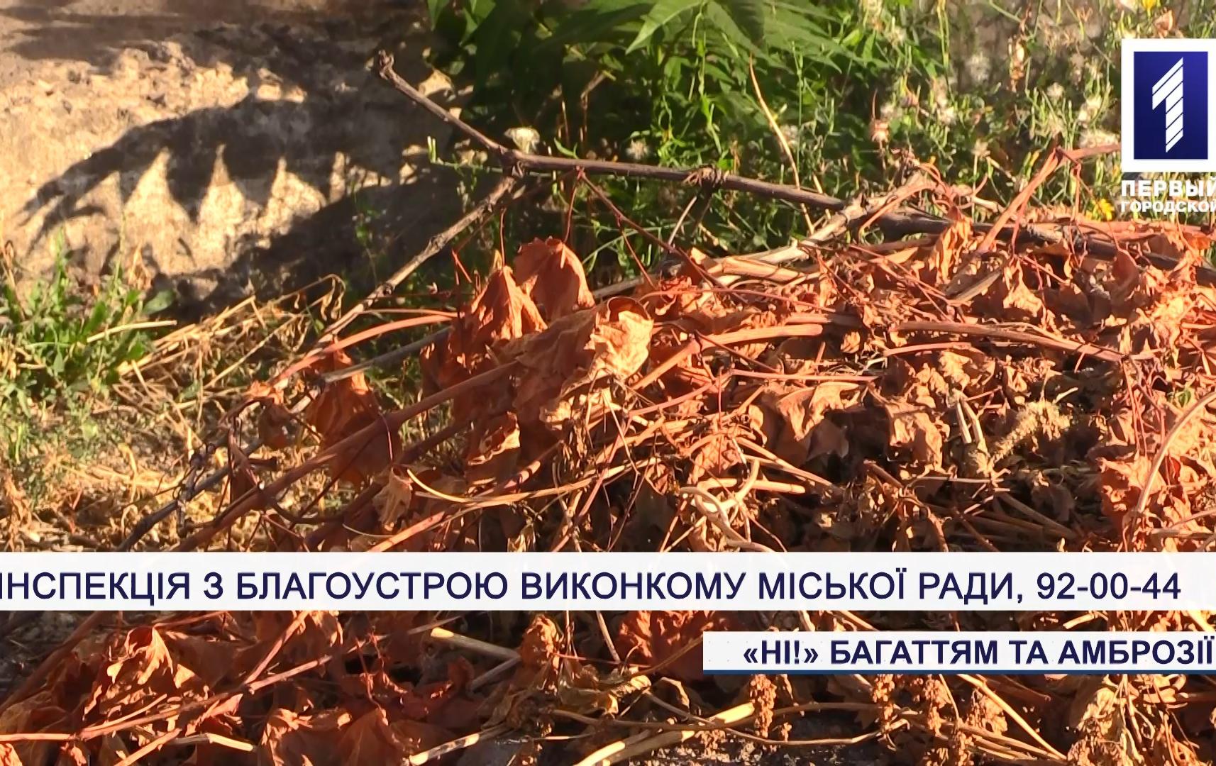 Рейд проти паліїв сухого листя в Кривому Розі