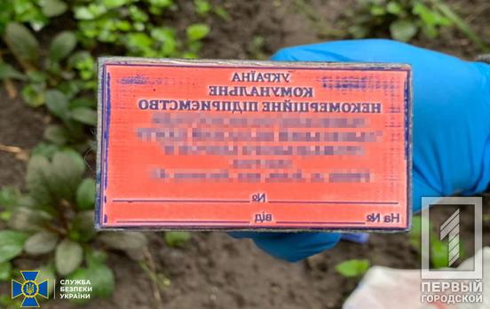 Пересилали по Україні: СБУ ліквідувала мережу з виготовлення фальшивих COVID-сертифікатів