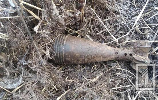 Недалеко от Кривого Рога обнаружили артиллерийский снаряд