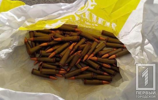 До семи лет тюрьмы: полицейские Кривого Рога остановили мужчину, который носил с собой 70 патронов