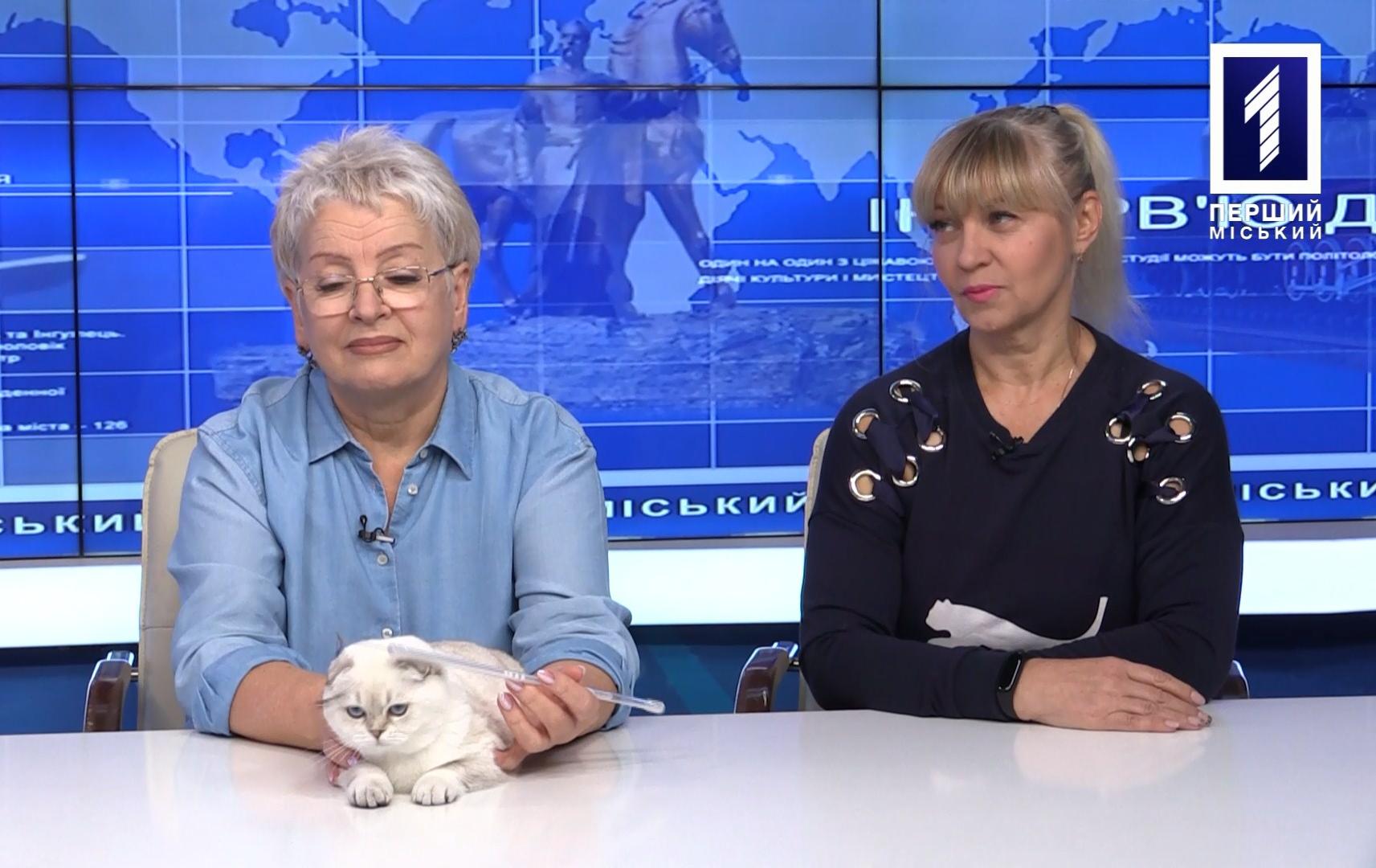 Інтерв’ю дня: виставка котів 2021 у Кривому Розі