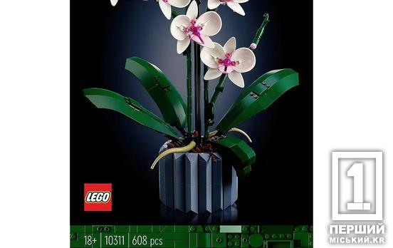 Творчість і навчання з конструкторами LEGO