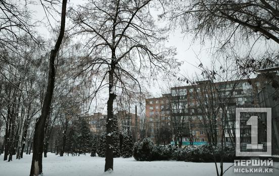 Лютий почнеться арктичним вайбом: на Дніпропетровщину насуваються 25-градусні морози