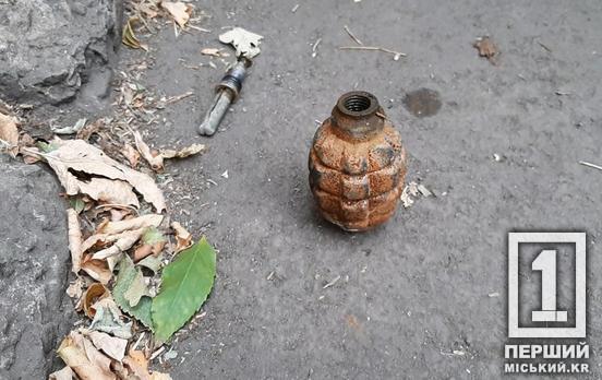 Попався поліції на зупинці громадського транспорту: у Кривому Розі судили чоловіка, який незаконно носив гранату