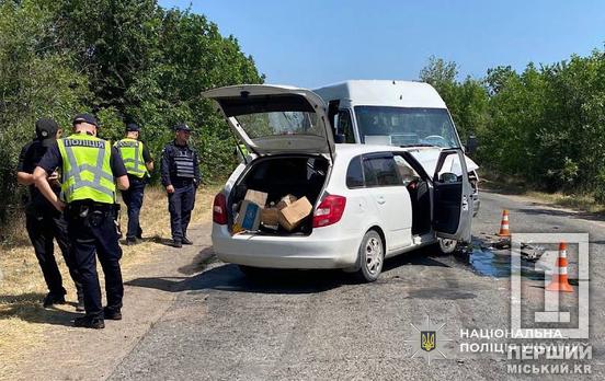 Лобовое ДТП с маршруткой и пострадавшим: в Кривом Роге будут судить водителя Skoda