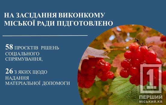 На засіданні виконкому Криворізької міської ради підтримані всі рішення соціального напрямку