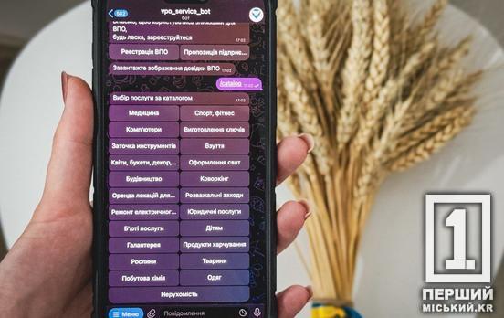 У Дніпропетровській області запустили «Сервісну картку ВПО»: що це таке і як працює