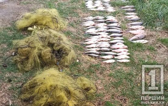 Орудував чотирма сітками: на Криворіжжі браконьєр приніс збитків на понад 140 тис грн