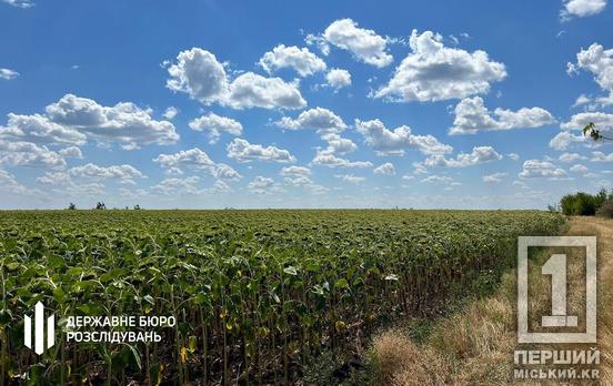 На Дніпропетровщині фермери незаконно засіяли територію танкового полігону
