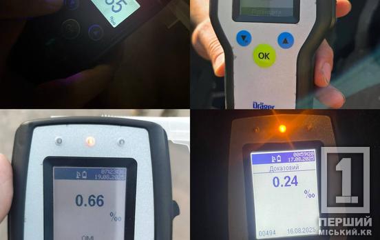 125 разів на дорозі було небезпечно: у Кривому Розі затримали нетверезих водіїв