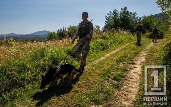 Планували «подорож» місяцями: двоє товаришів з Дніпропетровщини намагалися карпатськими стежками потрапити до Словаччини