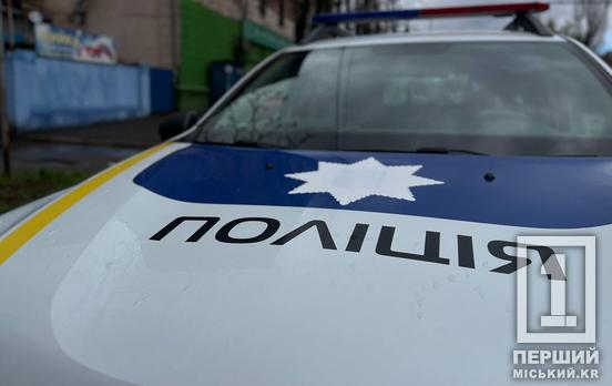 На Криворіжжі роми викрали ювелірні вироби у людини