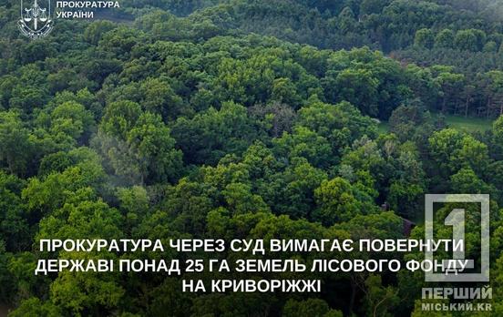 Прокуратура через суд повертає державі понад 25 гектарів лісу на Криворіжжі