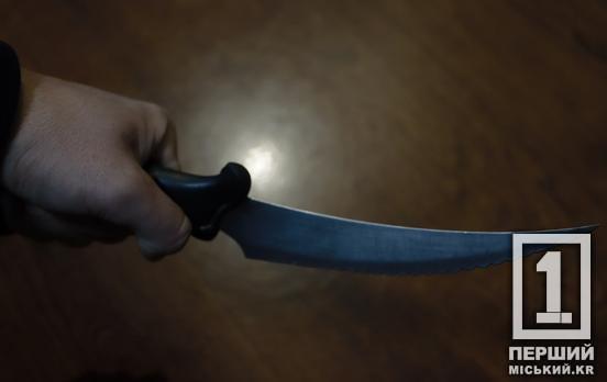 Наруга над дитиною, зйомка відео, погроза поліцейським: у Кривому Розі судитимуть збоченця