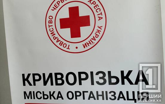 Допомога на трьох улюбленців в одні руки: нові криворіжці можуть безкоштовно отримати корм та наповнювач