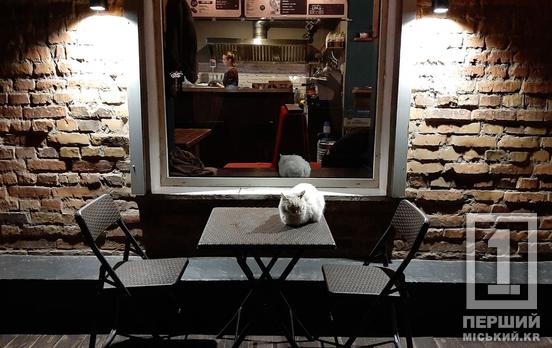 Нацбанк виступає за обов’язкове страхування воєнних ризиків