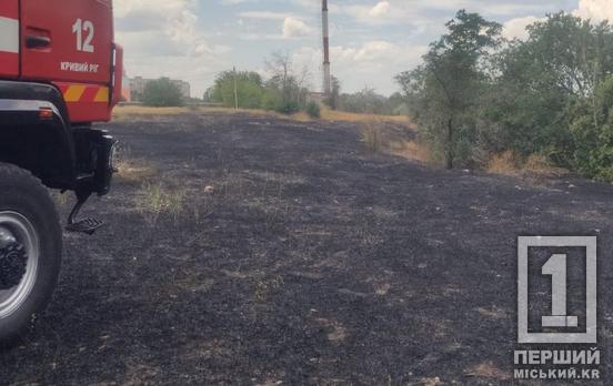 Там тепер майже чорна пустка: у Покровському районі Кривого Рогу неподалік будинків сталася пожежа