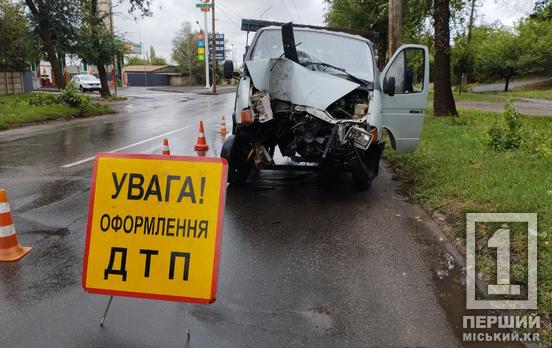 Рожденный в счастливой рубашке: в Кривом Роге «Газель» взяла на таран столб
