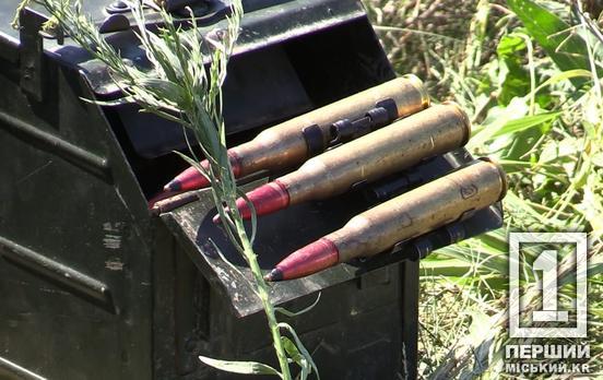 Попался полиции и попал под суд: в Кривом Роге наказали мужчину, который нашел почти две сотни патронов