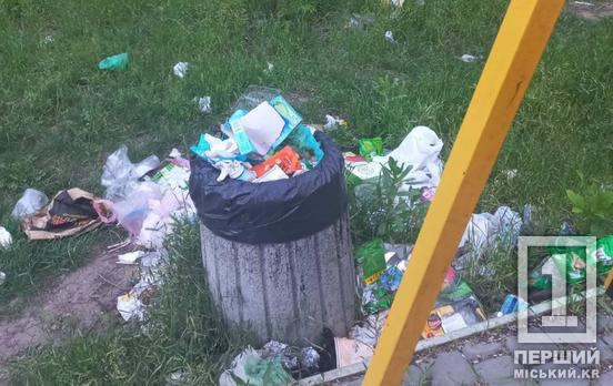 Не вкрали, а демонтували: на «Східному» прибрали смітники у зеленій зоні через несумлінних відвідувачів