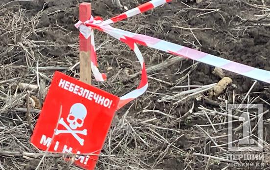 Міноборони планує створити полігон для тестування технологій розмінування з використанням ШІ