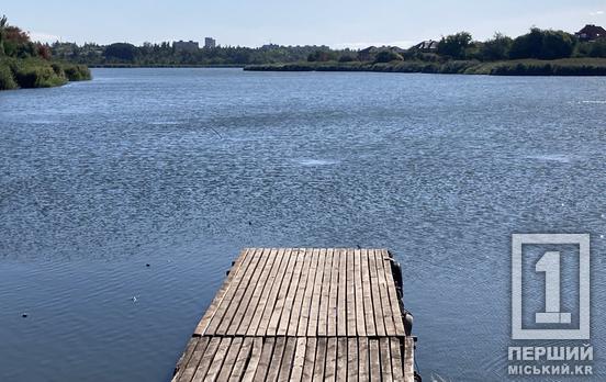 Без паніки, але з обережністю: у Кривому Розі та області у двох водоймах знайшли холерний вібріон