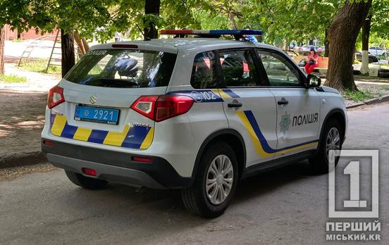 Домашнє насильство, проблеми із спиртним та контрафактом: дільничні офіцери трьох відділень Кривого Рогу звітували про зроблене