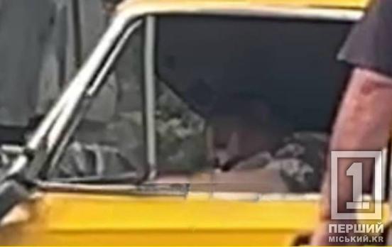 Капот автівки розворотило: Кривому Розі сталася смертельна ДТП з ВАЗ