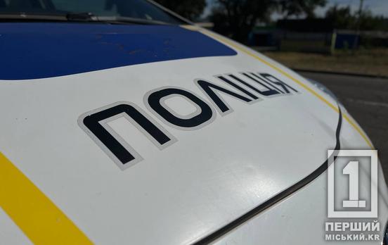 У Кривому Розі «безстрашна» людина бажала дати хабара поліції