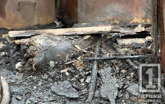 Вогонь бачили здалеку:  у Саксаганському районі вирувала масштабна пожежа