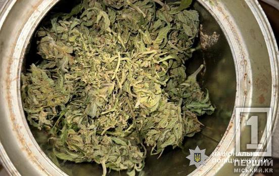 «Дбайливо» прикрив сіткою, аби не побило Сонце: на Криворіжжі затримали любителя конопель