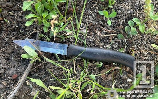 Знав, що жертва слабша: у Металургійному районі Кривого Рогу зарізали жінку