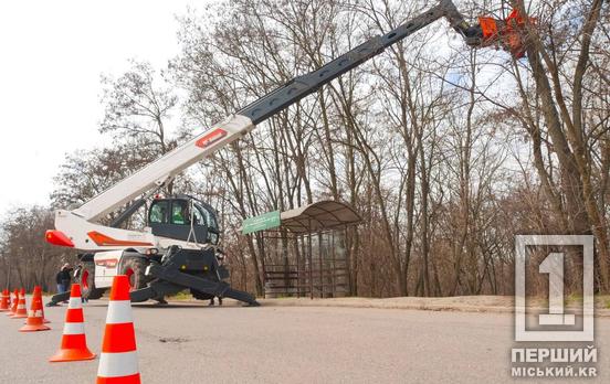 Благоустрій міста: Кривий Ріг посилює роботу з догляду за зеленими насадженнями новою сучасною технікою