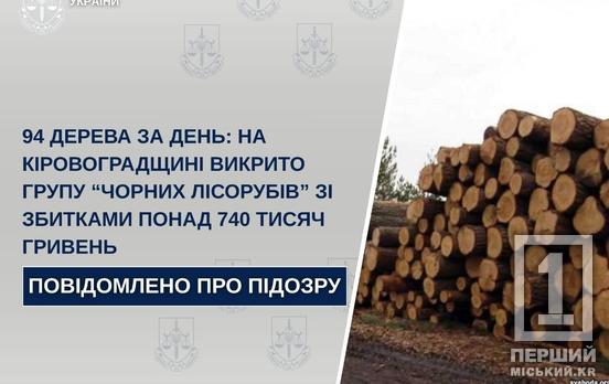 Мешканець Дніпропетровщини організував масову вирубку лісу: за день спиляли майже сотню дерев