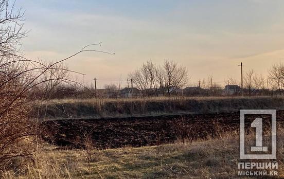 Аграрний антирейтинг: Дніпропетровська область увійшла до трійки регіонів з найбільшими втратами