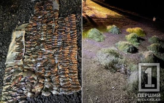 Збитків майже на 500 тисяч гривень: у Дніпропетровській області через рибне браконьєрство судили шістьох осіб