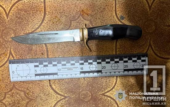 Аргумент у сварці — ніж у живіт: в Інгулецькому районі затримали літнього нападника