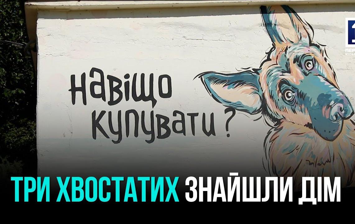 День открытых дверей в Центре обращения с животными: три собаки нашли дом